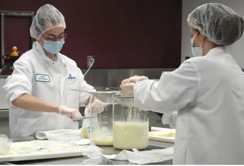 food safety in the milk bank lab