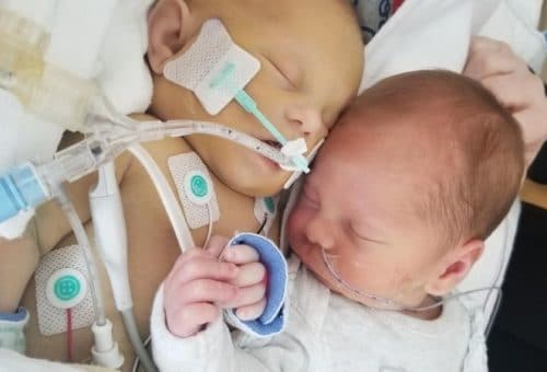 losing twins and donating milk