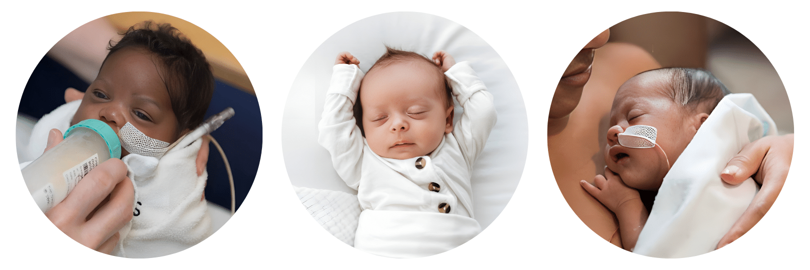 Devolve Milk Donate Milk • Mothers' Milk Bank Northeast