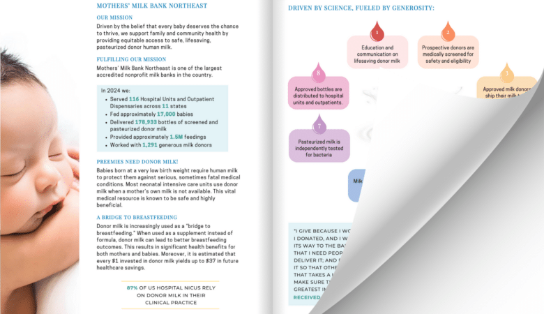 2024 Impact Report